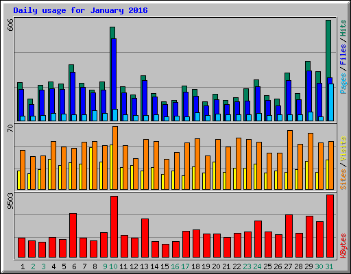 Daily usage for January 2016