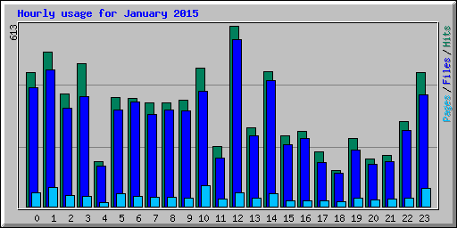 Hourly usage for January 2015