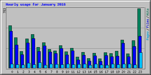 Hourly usage for January 2016