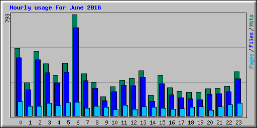 Hourly usage for June 2016