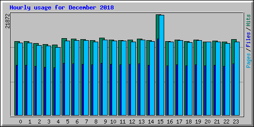 Hourly usage for December 2018