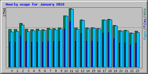 Hourly usage for January 2019