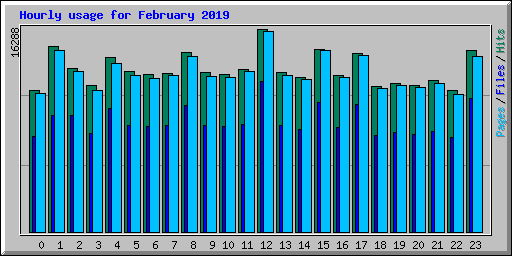 Hourly usage for February 2019