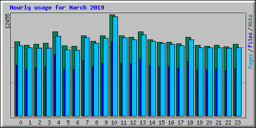 Hourly usage for March 2019