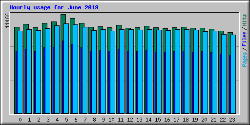Hourly usage for June 2019