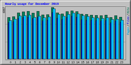 Hourly usage for December 2019