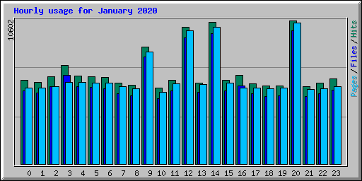 Hourly usage for January 2020