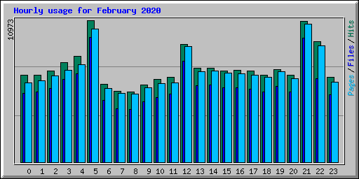 Hourly usage for February 2020